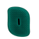 image-6231cd99a4834ad9980460958b7781ff