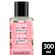 681911---shampoo-love-beauty-and-planet-curls-intensify-manteiga-de-unilever-2