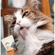 image-fe526a23c27b48b29a8185c3a6f47ed3