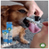 image-cc3388485809459cb9142211acb7c83a