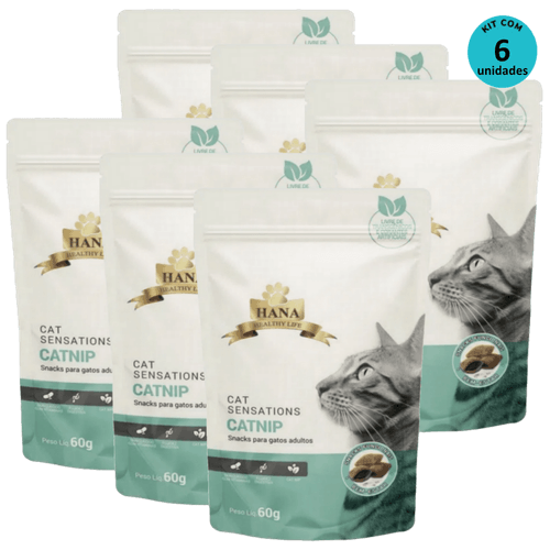 image-c1cddf12ce4340b2b852d99d5e916e98 image-c1cddf12ce4340b2b852d99d5e916e98