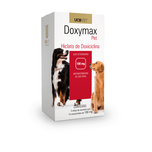 image-27c06fe127c34e4999f7002b3776f11a image-27c06fe127c34e4999f7002b3776f11a