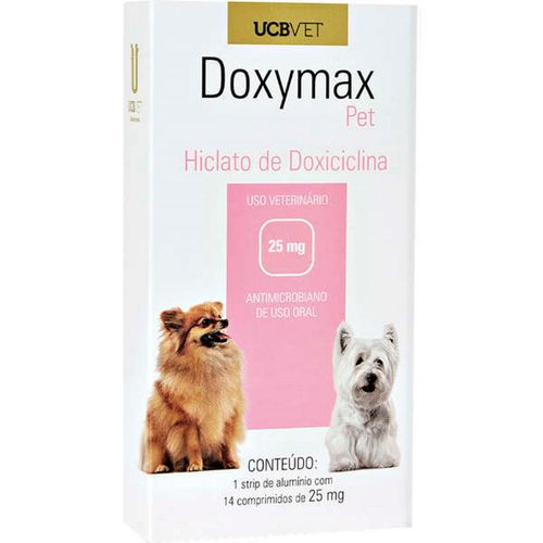 image-e188dac06b204a188ce458e8f00c2867 image-e188dac06b204a188ce458e8f00c2867