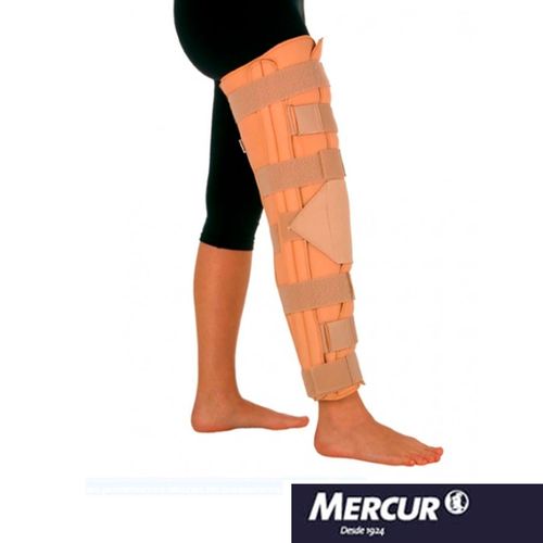 image-3bb55afa70304bb2bbfaeaee5d7e659d image-3bb55afa70304bb2bbfaeaee5d7e659d