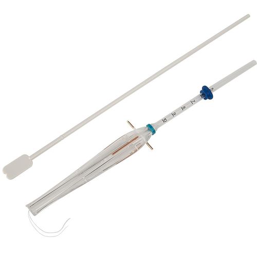 image-ec169cdd7c814d3d832bc94f895ff058 image-ec169cdd7c814d3d832bc94f895ff058