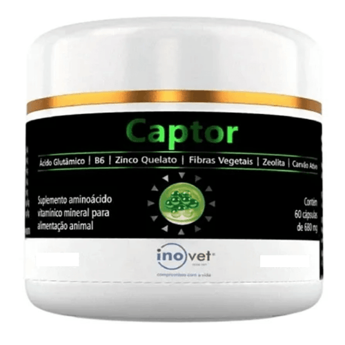 image-29b3c2b6ceb8497eb1420bcb6fa5dd4e image-29b3c2b6ceb8497eb1420bcb6fa5dd4e