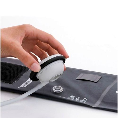 image-7ff050a8674c4796883fb111a4a9c62b image-7ff050a8674c4796883fb111a4a9c62b