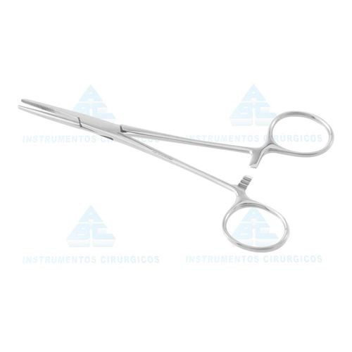 image-6966e569a2d34f3a888cc8353944fe24 image-6966e569a2d34f3a888cc8353944fe24