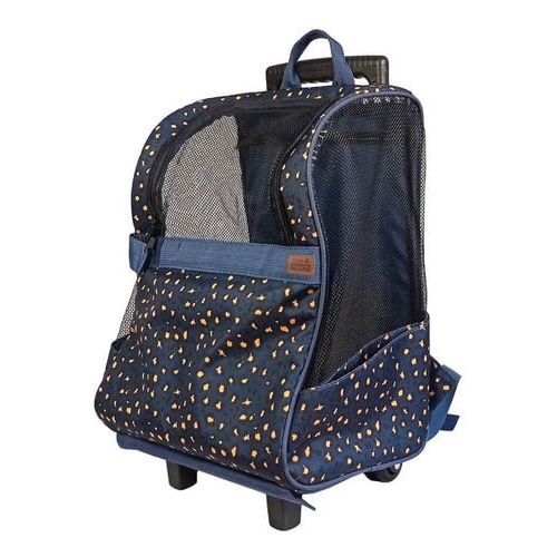 image-917ce446c1444908b52616fd2799d381 image-917ce446c1444908b52616fd2799d381