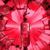 image-f28ec18e8d3b4ea1813f2479f0dbc0f1