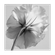 image-b8006b8638b44636b80cefd9ff8149bd