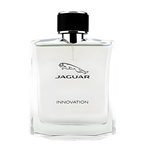 image-bf005897ee6048c2be312b36ccc909dd image-bf005897ee6048c2be312b36ccc909dd