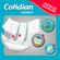 image-cd97552558834c02981ea77dbca42763