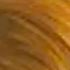 105880---tintura-soft-color-73-avela-5