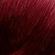 271411---tintura-garnier-nutrisse-colorissimos-castanho-4466-5