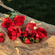 image-8b3e1f95d1a94f3d8cc7064bd2bd597a