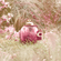 image-f319cf358d524aebaeaac5e8c7c43c6b