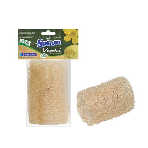 image-4279ae74fcdb47ab854ca5cbbc662473 image-4279ae74fcdb47ab854ca5cbbc662473