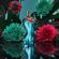 image-6d675549c3e74f36b823f5cac0be7f17