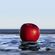 image-42939231f70c46d5b6903c744cc49e96