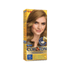 695610---Coloracao-Niely-Cor-Ton-Louro-Cinza-Claro-8.1_0000_62263f849e81d00c0e6e8e8f