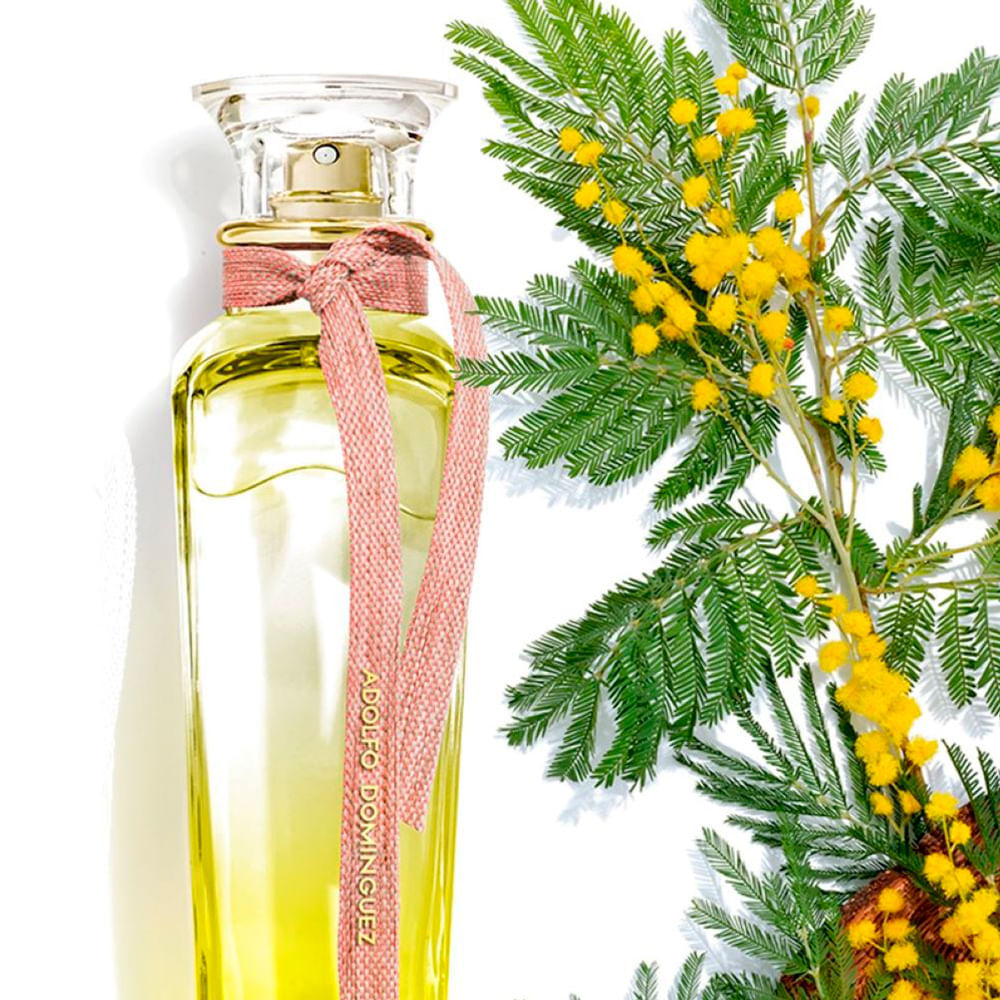 água Fresca Mimosa Mimosa Coriandro Adolfo Dominguez Perfume