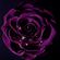 image-8a951d58e6fa41eebe8bb7db369e9660