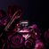 image-aaf30e147f8a44cb9faf9a2d568de7fd