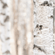 image-87034a09036945d383e936599b631bb1