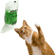 image-97cdfed515ba4b89afb5e1d5a690a188