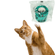 image-88bf2d7c7f7842ec85355f66a48f0a09