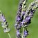 image-2601b168fdb5459982e90e8577b18063