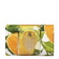 image-ff4edc16068e4a6c87f9bc63eff5b10a