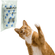 image-622d751fdd714cb5bd023430b05f0cee