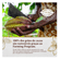 772690---Chocolate-Lindt-Gold-Bunny-Ao-Leite-10g_0001_65e8bc1bd27fcb488432be64_6