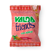 _0008_VALDA-FRIENDS-CANELA-SCH---672858