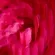image-7b2cf61d25ac42b9b84080e2b512565d