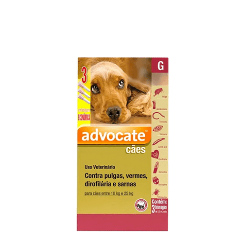 9044682_0000_Layer-2 9044682_0000_Layer-2