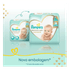 668826---Fralda-Pampers-Premium-Care-XG-60-unidades_0003_0