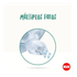 935195596---Kit-2-Bicos-De-Mamadeira-Smart-Flow-6m--Fluxo-Rapido---NUK_0000_Layer-6