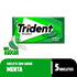25305---Trident-Menta_0000_650d98deca45dc0c0f95818a_1.png
