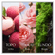 877816---Perfume-Eau-De-Toilette-Chanson-Deau-Rose-100ml_0001_3616305629357_99_4_1200_72_RGB.png