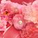 image-c6356ff149994de8a41aa596255952af