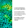 855570---Shampoo-Anticaspa-Vichy-Dercos-DS-300g_0001_0.png