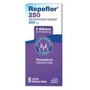 879738---Probiotico-Repoflor-250mg-EMS-6-Capsulas-Duras_0000_Layer-1.png