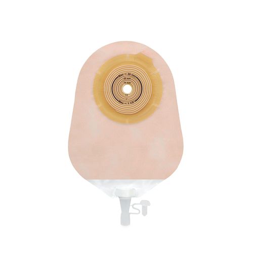 image-47babae8d031431b882cd87270e68d45 image-47babae8d031431b882cd87270e68d45