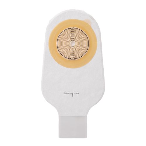 image-097716be946340a58fddcf849201dc62 image-097716be946340a58fddcf849201dc62