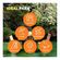695050-repelente-off-family-spray-longa-duracao-100ml--6.jpg