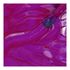 840610-Esmalte-Risque-Diamond-Gel-Licor-De-Cranberry-9-5ml-4.jpg