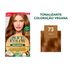 549932---Tintura-Soft-Color-Avela-73-2